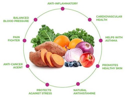 Pure Quercetin Powder Pure Quercetin Powder