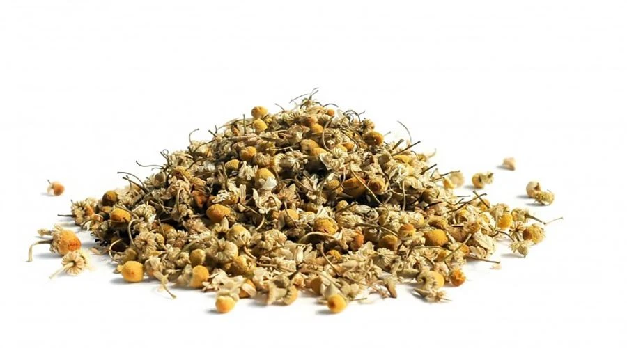 Is chamomile extract good for anxiety Is chamomile extract good for anxiety