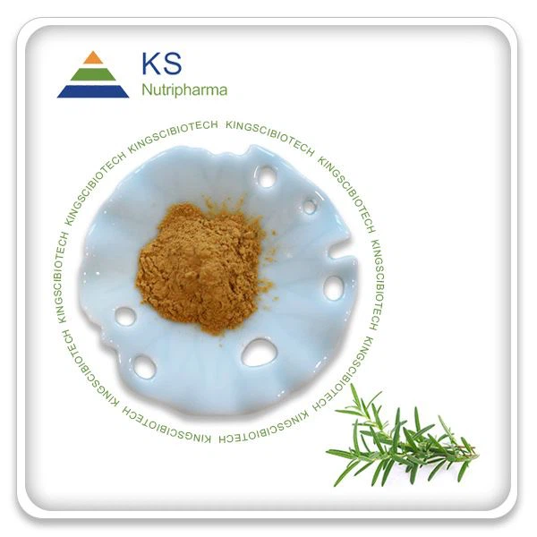 Carnosic Acid Powder