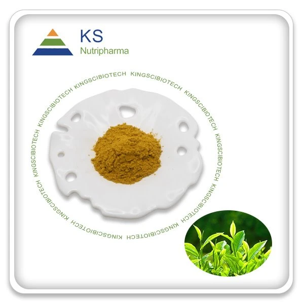 Green Tea Extract Powder 45% EGCG