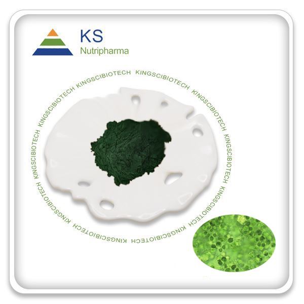 Chlorella Extract Powder