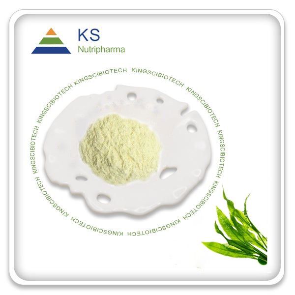 DHA Powder
