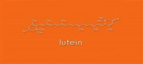Who Should Not Take Lutein？
