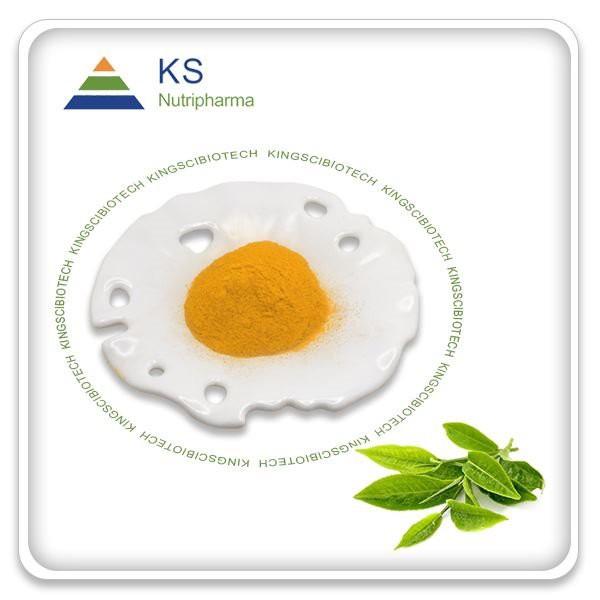 Best Green Tea Extract