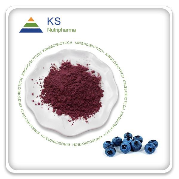 Freeze-dried Blueberry Fruit Powder