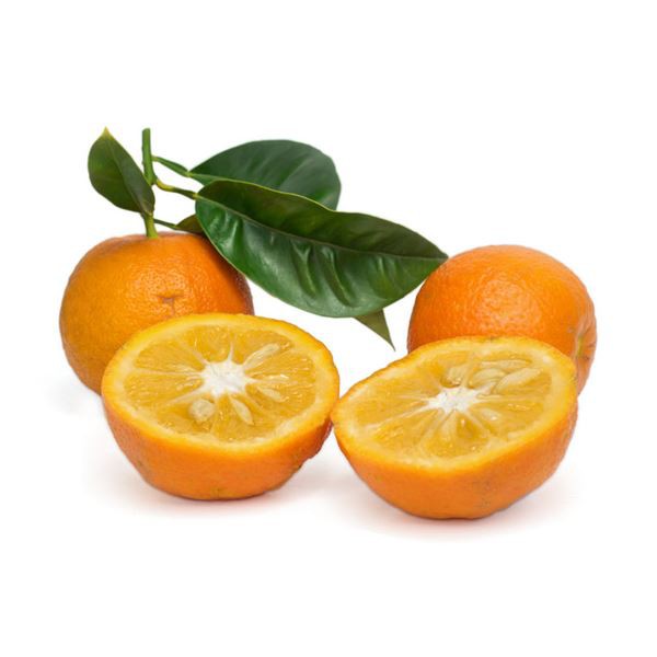 Bitter orange extract