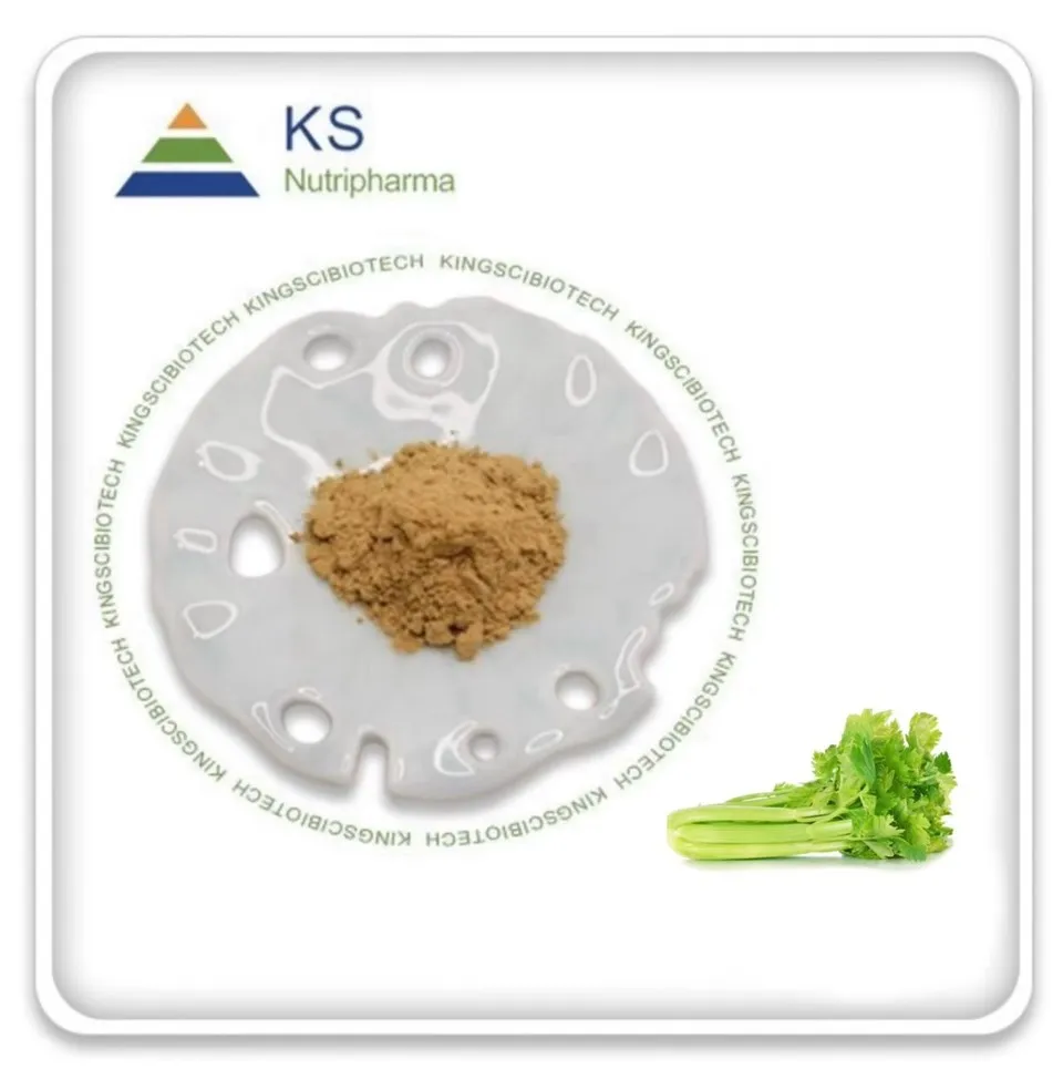 Apium Graveolens Extract