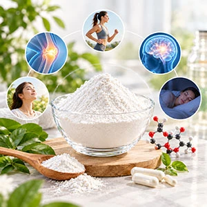 What Does Magnesium Malate Powder Do?