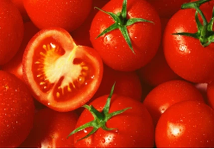 news-248-173 news-248-173