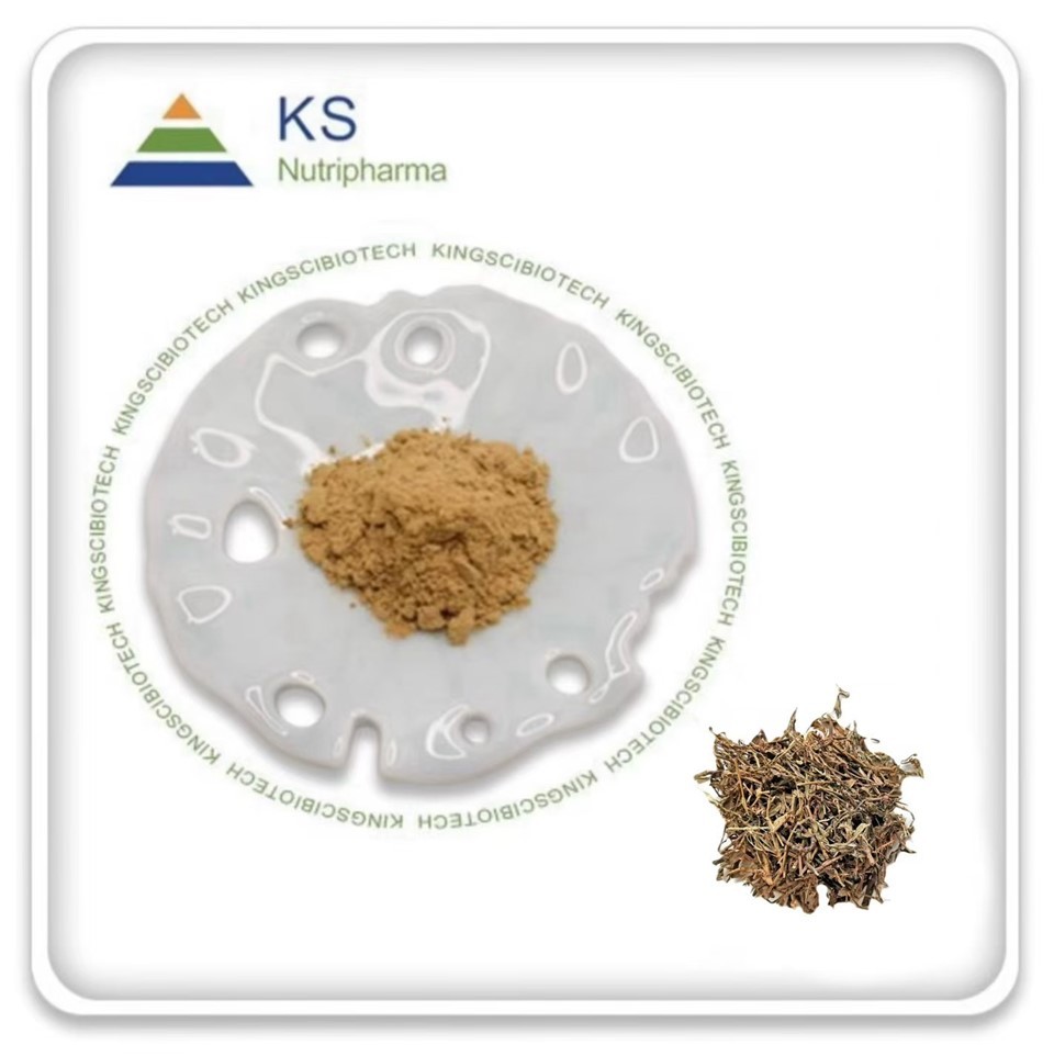 Polygonum Aviculare Extract Powder