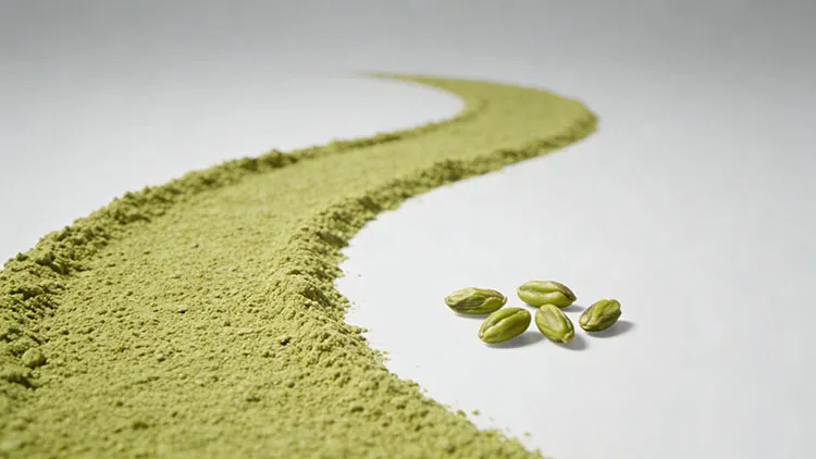 Rutin-Extract Rutin-Extract