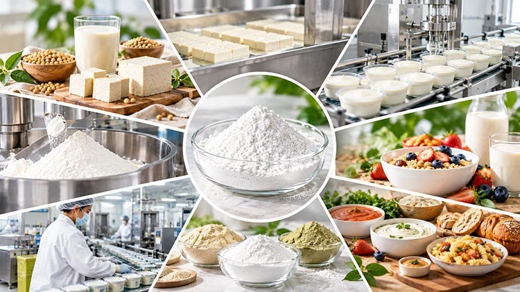 Powdered-Calcium-Sulphate-Application Powdered-Calcium-Sulphate-Application