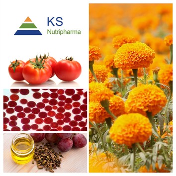 Antioxidants Ingredients