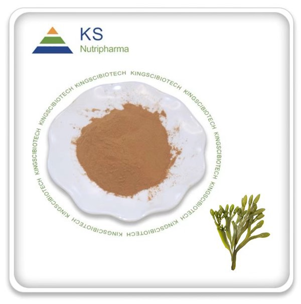 Fucus Extract