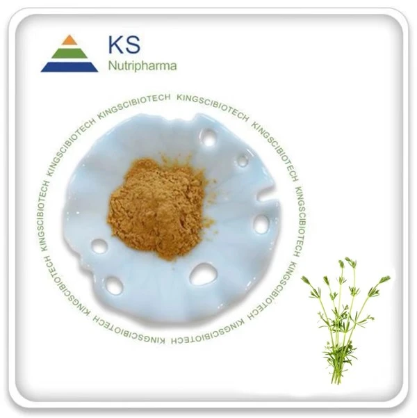 Galium Aparine Extract