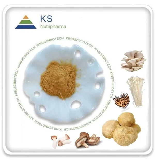 Mushroom Extract Powder