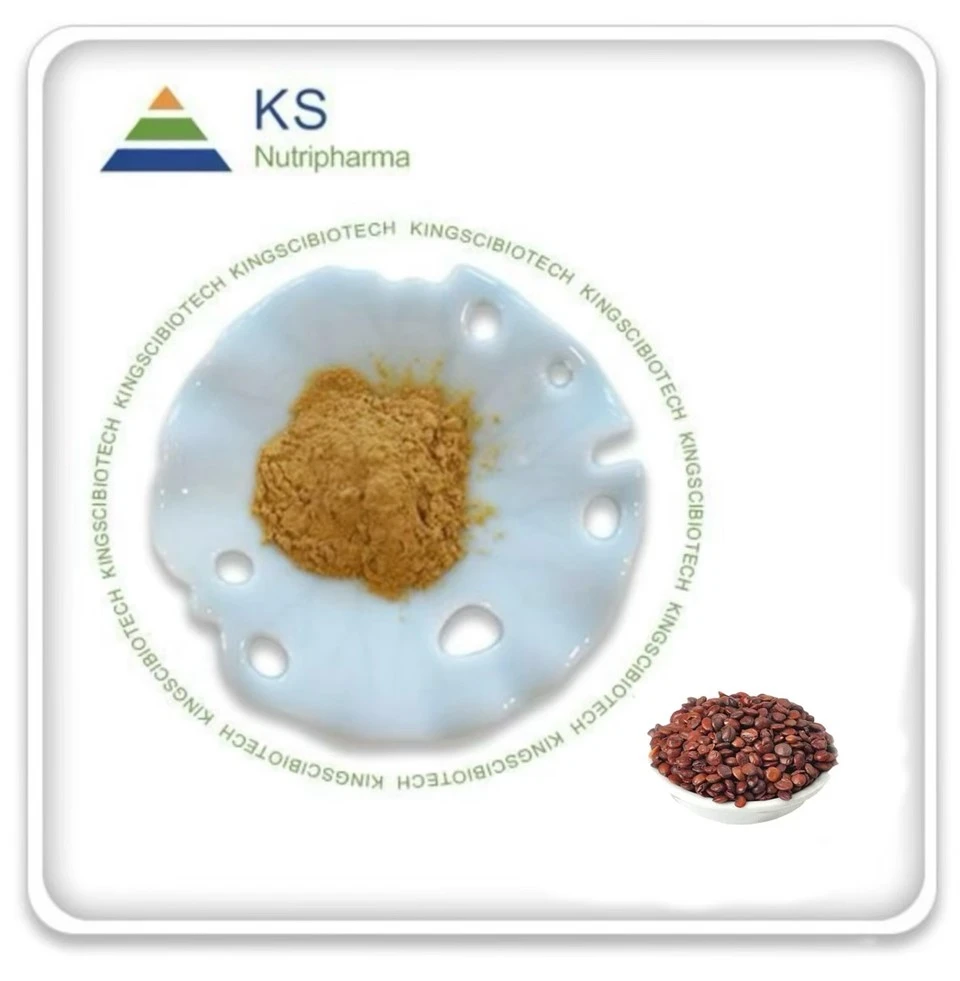 Spine Date Seed Extract
